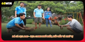 Đá Gà Cựa Dao - Tựa Game Phổ Biến, Hấp Dẫn Và Thú Vị